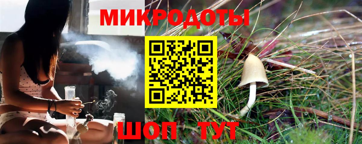 купить закладку  Вход с VPN  Советская Гавань  Псилоцибиновые грибы Psilocybe  Псилоцибиновые грибы Cubensis 